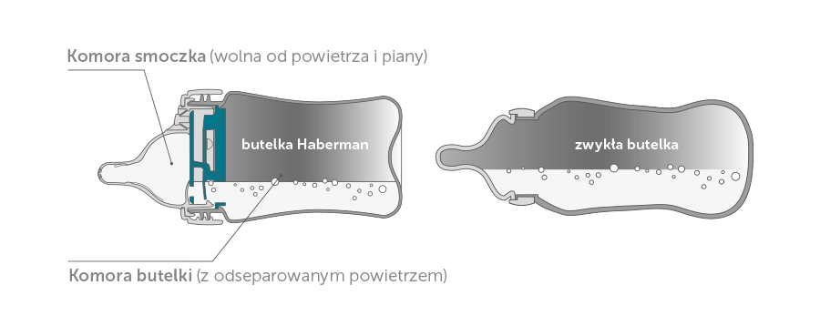 butelka haberman przekroje